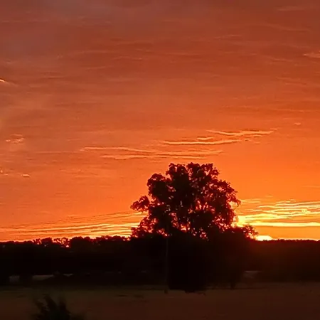 Apartment Zimmermann