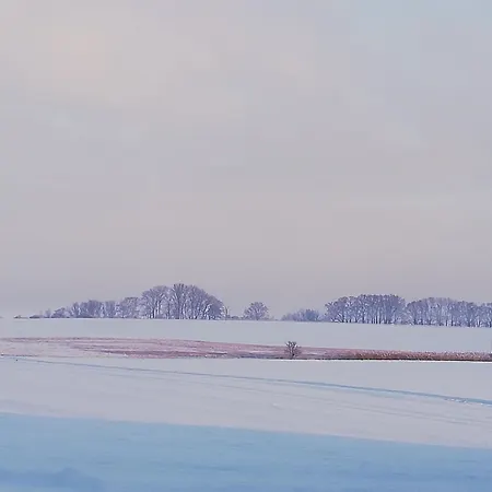 Zimmermann Apartment *