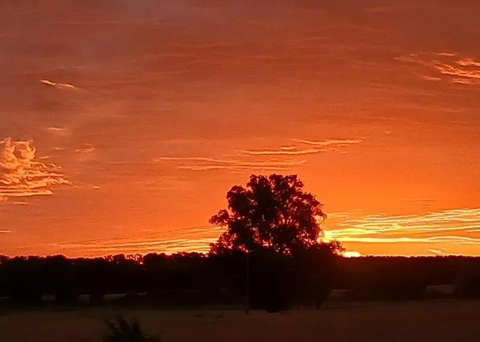 Lejlighed Zimmermann